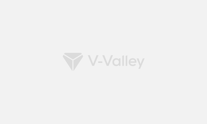 Descubre el portfolio de Servicios Profesionales para soluciones de Ciberseguridad de V-Valley