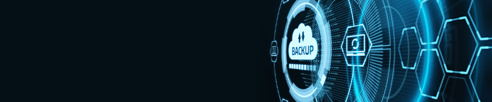 Backup e disaster recovery