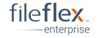 logo_fileflex